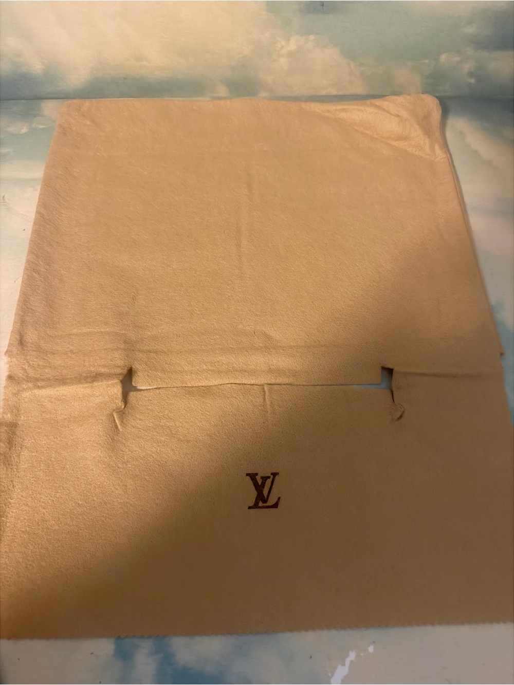 Louis Vuitton dust bag small bag with handle